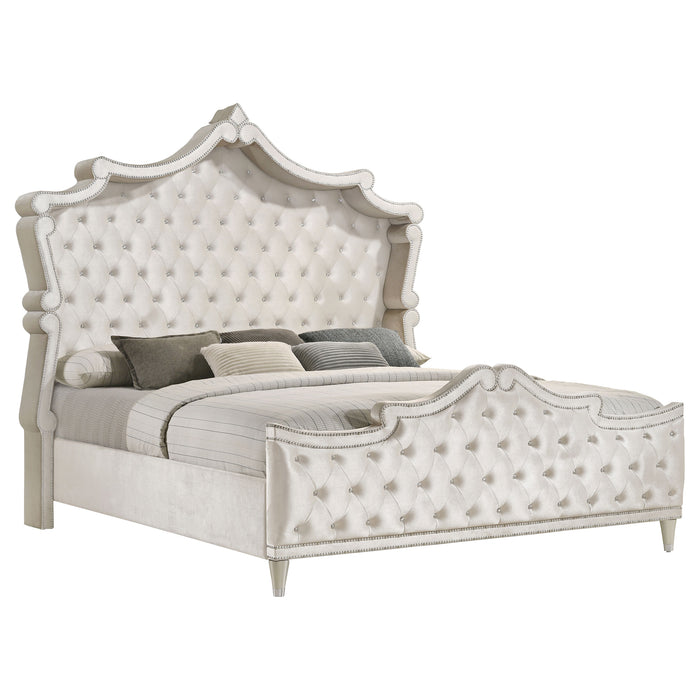 Antonella Bedroom Sets