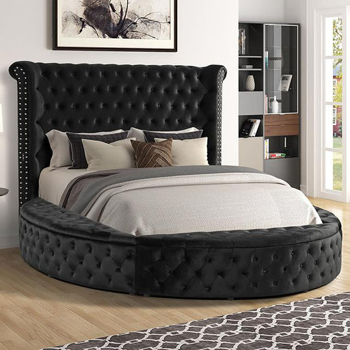 SANSOM Queen Bed, Black image