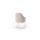 Modrest Tyler Modern Grey & Gold Dining Chair