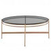 Modrest Bradford - Modern Smoked Glass & Rosegold Coffee Table image