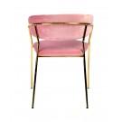 Modrest Brandy Modern Pink Fabric Dining Chair (Set of 2)