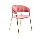 Modrest Brandy Modern Pink Fabric Dining Chair (Set of 2)