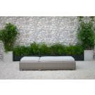 Renava Knox Outdoor Wicker Sunbed image