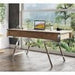 Modrest Dessart - Modern Walnut Veneer Desk image