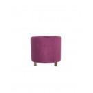 Divani Casa Anthony Modern Pink & Gold Accent Chair