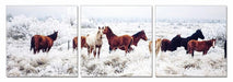 Modrest Mustangs 3-Panel Photo On Canvas image