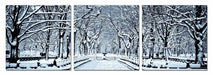 Modrest Winter Trees 3-Panel Photo image