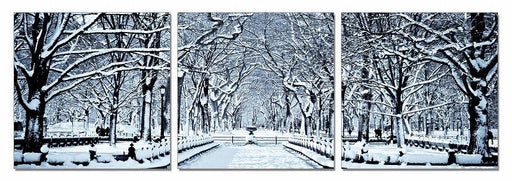 Modrest Winter Trees 3-Panel Photo image