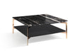 Modrest Dorian Modern Black Marble & Ebony Square Coffee Table image