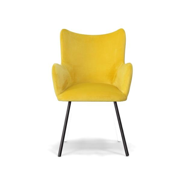 Modrest Barrett Modern Dining Chair