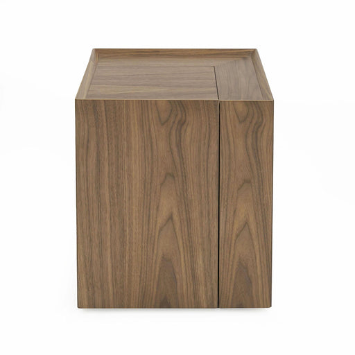 Modrest Delight Modern End Table image