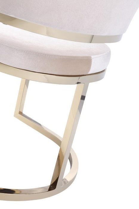 Modrest Tulsa Modern Dining Chair image