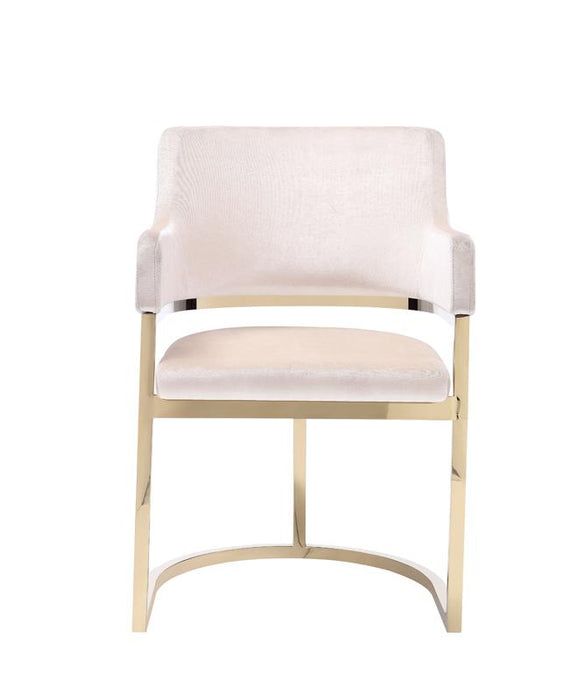 Modrest Tulsa Modern Dining Chair