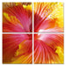 Modrest Hibiscus 4-Panel Photo on Canvas image