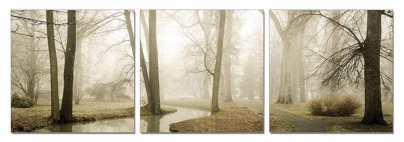 Modrest Mist 3-Panel Photo On Canvas image